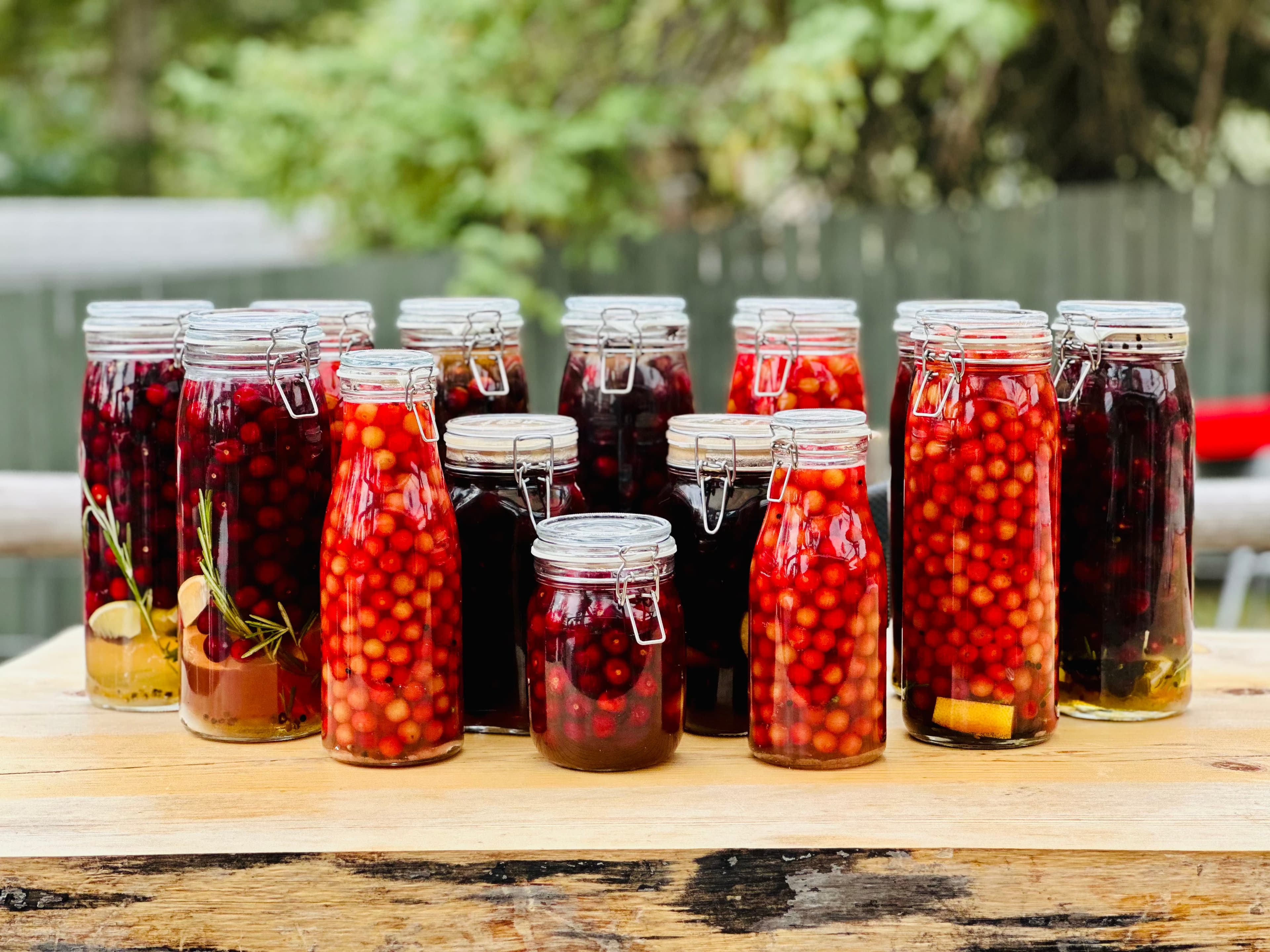 Rows of fruit-infused syrup jars on a rustic table at Red's Tavern