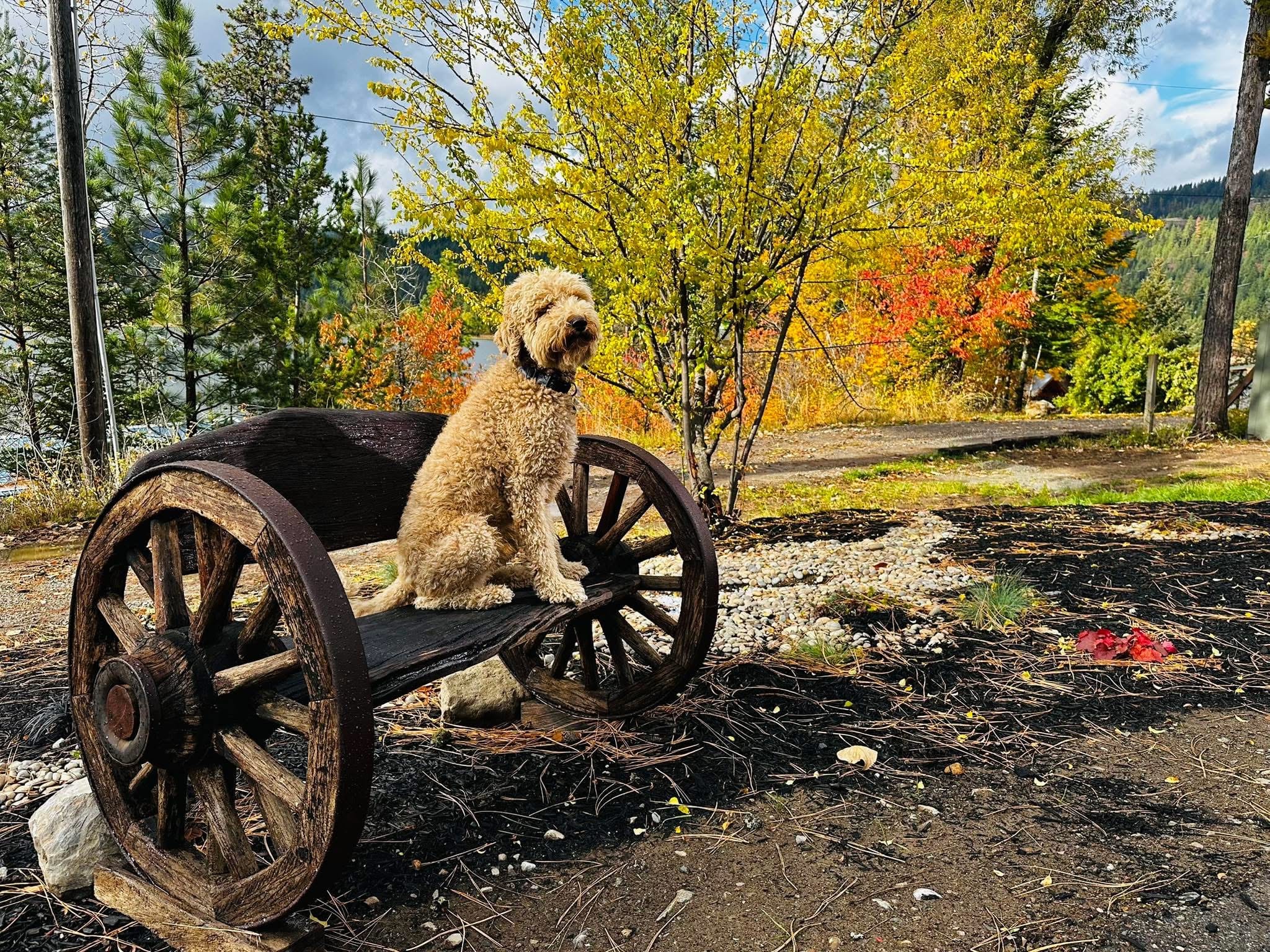 Crisp autumn afternoon at Red's Tavern at Watson's Lakefront Resort